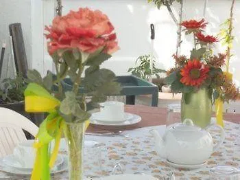 Bed & Breakfast Palazzo Rocci